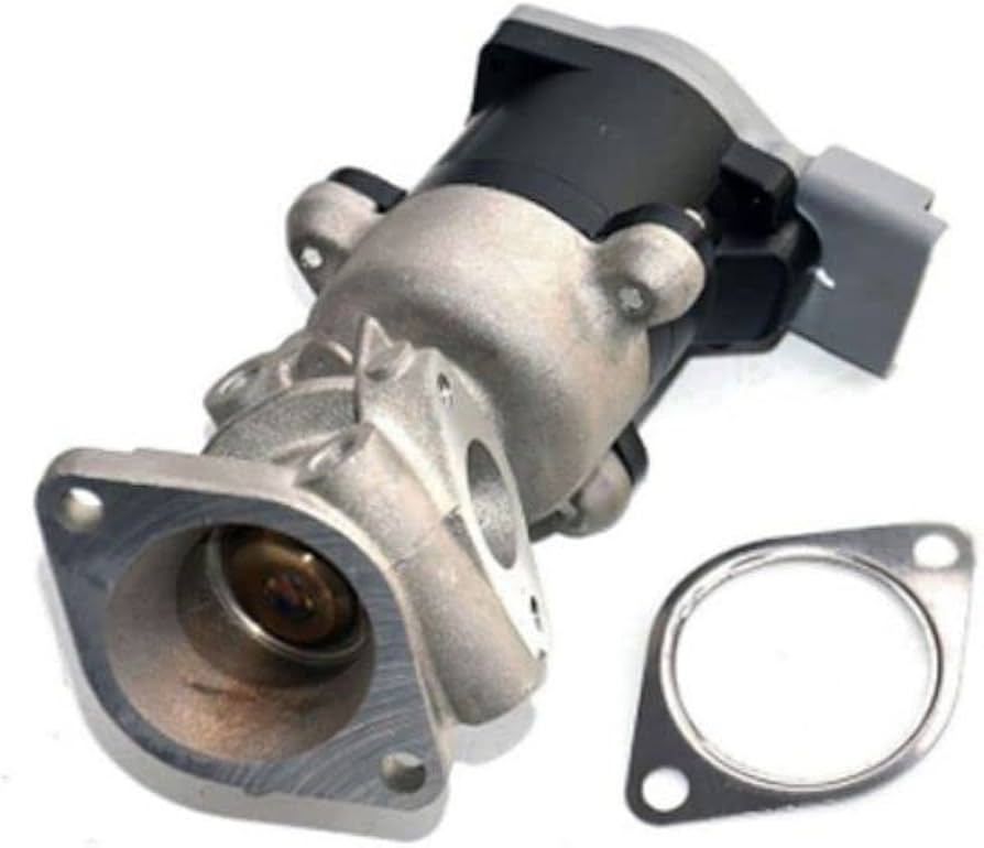 EGR Valve with Gasket
