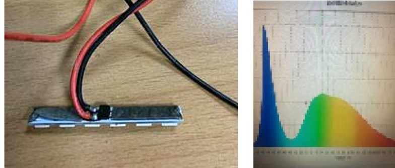 Number Plate LED Module