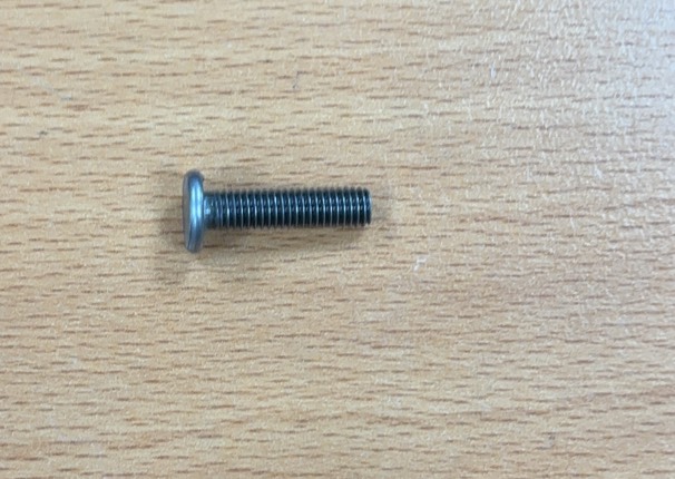 Lamp Mounting Screw